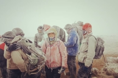 b0e9b311-e433-4627-a5ed-8a7e43a796c9