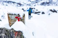 Winter-walking