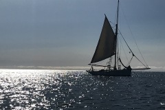 IMG_1780
